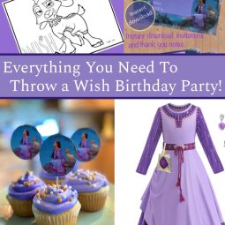 wish birthday party
