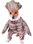 dog groot costumes