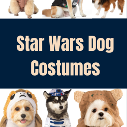 Star Wars Dog Costumes