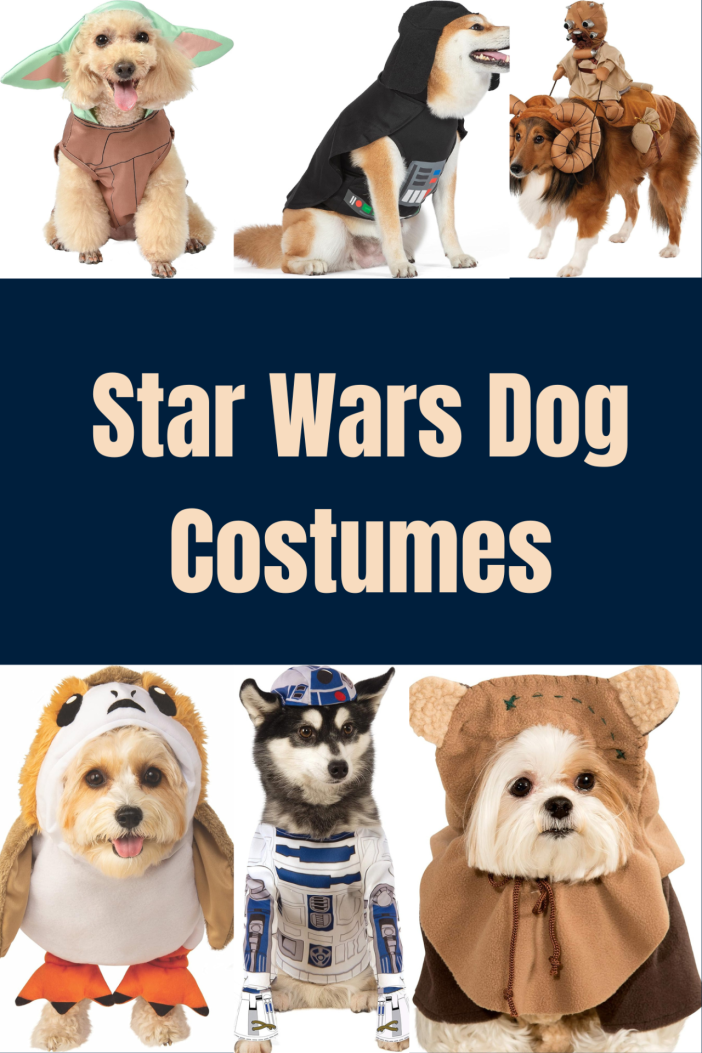 Star Wars Dog Costumes Highlights Along the Way