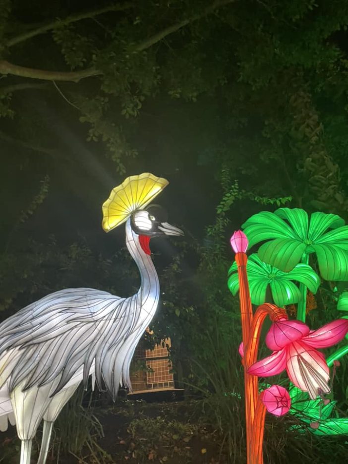 la zoo lights aglow