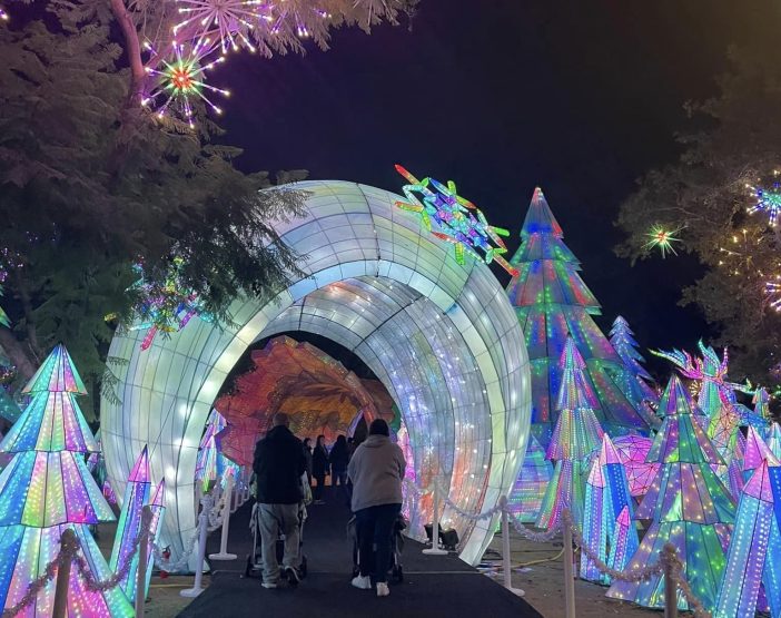 winter wonderland la zoo lights animals aglow