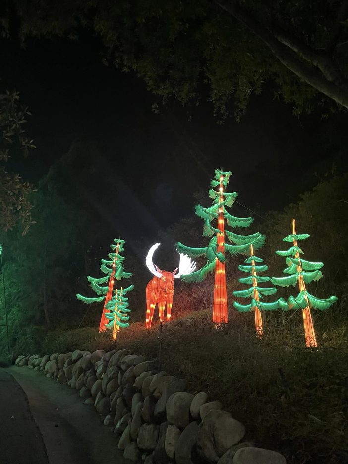 la zoo lights christmas