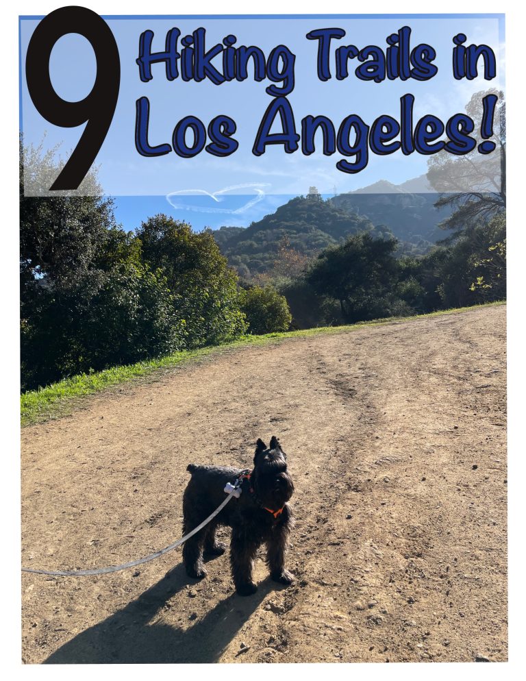 hikes in los angeles california for socal travel families