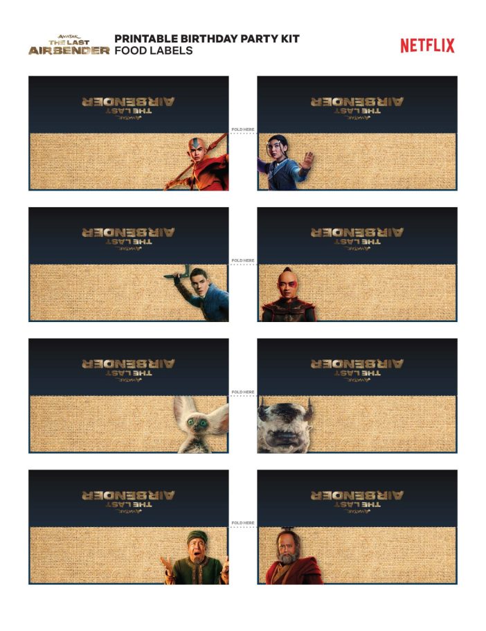 The Last Airbender Birthday Party cards